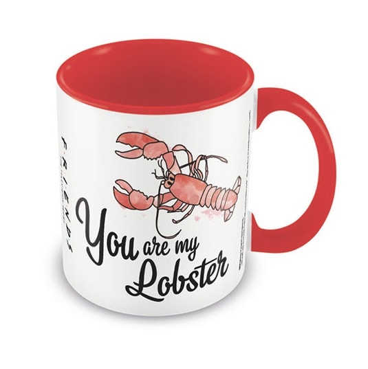 Warner Bros - Friends - Mug "You Are My Lobster" 315ml - flash vidéo