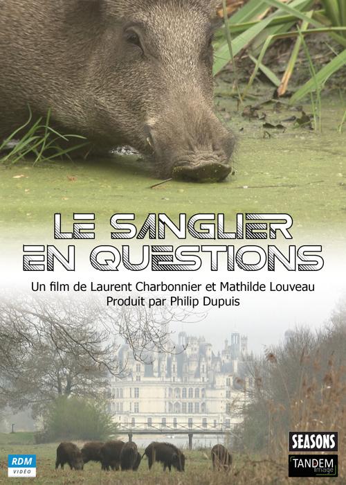 Le Sanglier en questions [DVD]