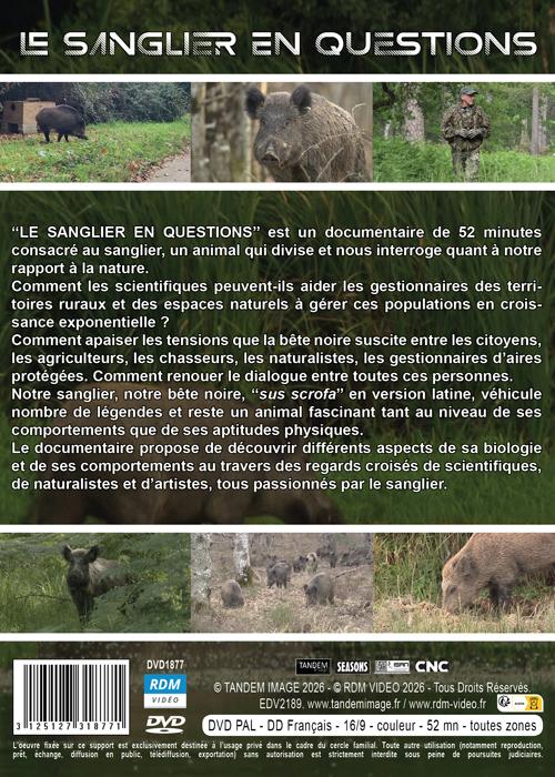 Le Sanglier en questions [DVD]