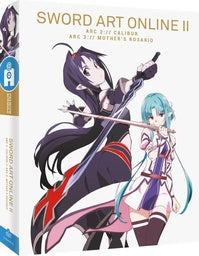 Sword Art Online - Saison 2, Arc 2 & 3 : Calibur + Mother's Rosario (SAOII) [DVD]