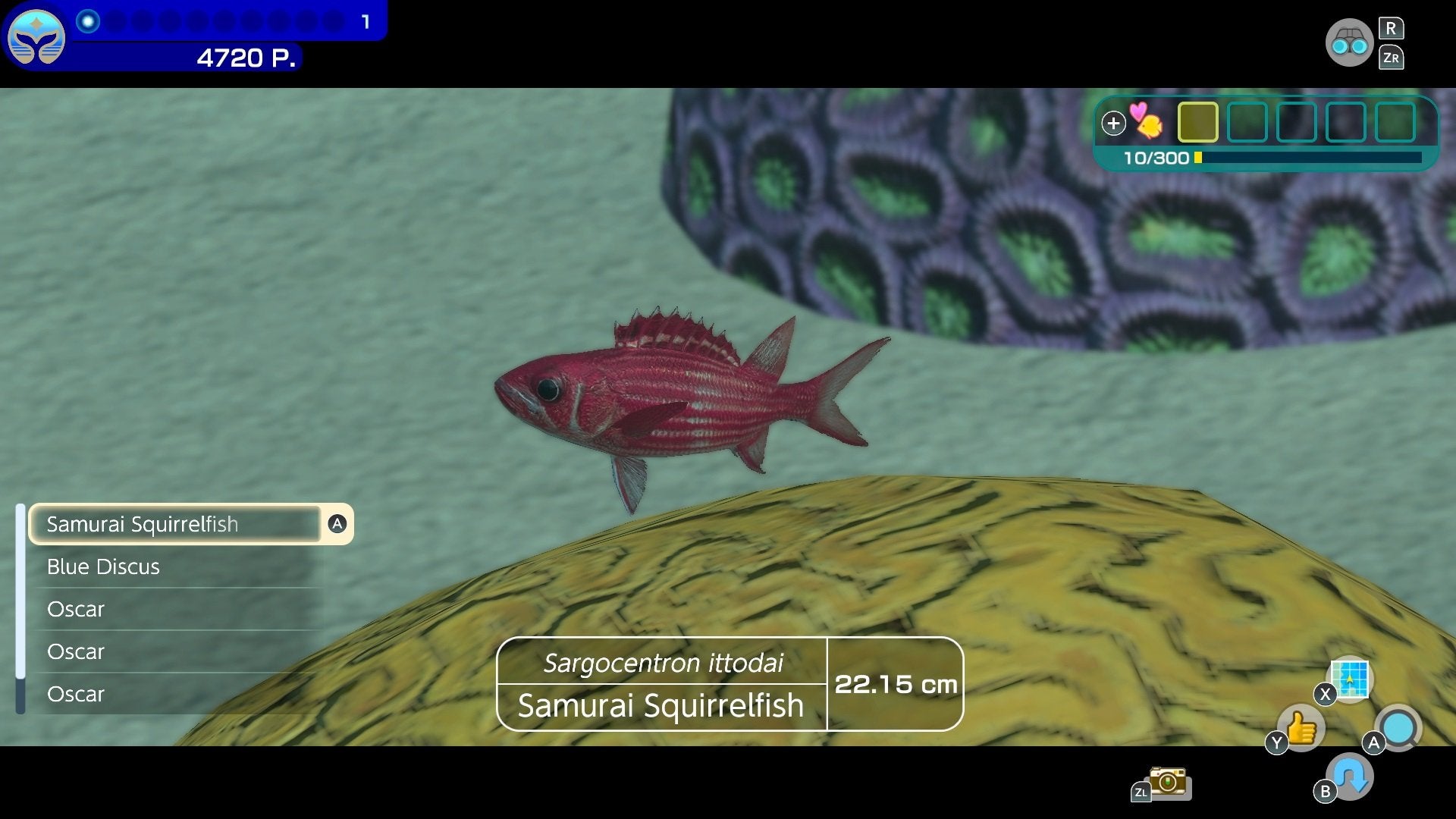 Endless Ocean Luminous - flash vidéo