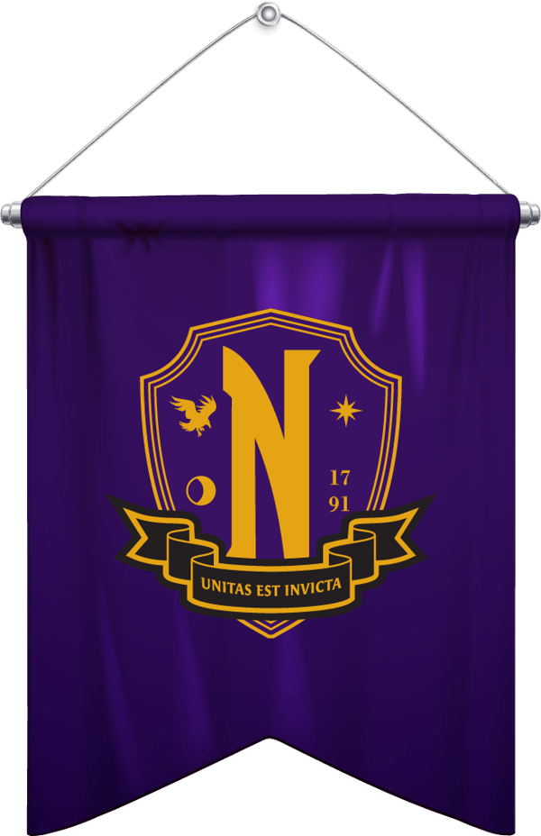 Netflix - Mercredi - Fanion - Nevermore - flash vidéo