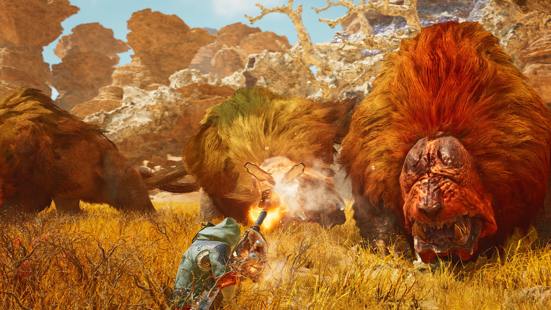 Monster Hunter Wilds (Code-in-a-box) - flash vidéo