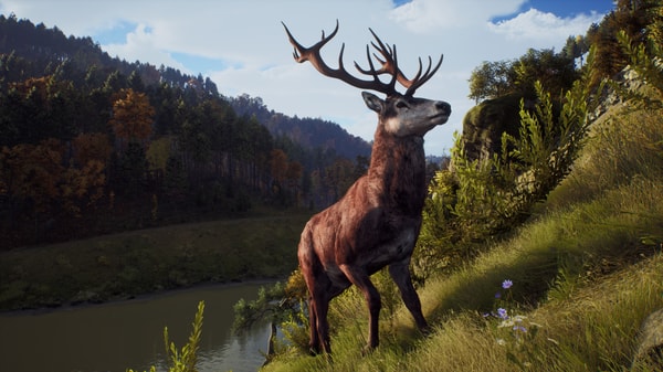 Way of the Hunter - Hunting Season One - flash vidéo