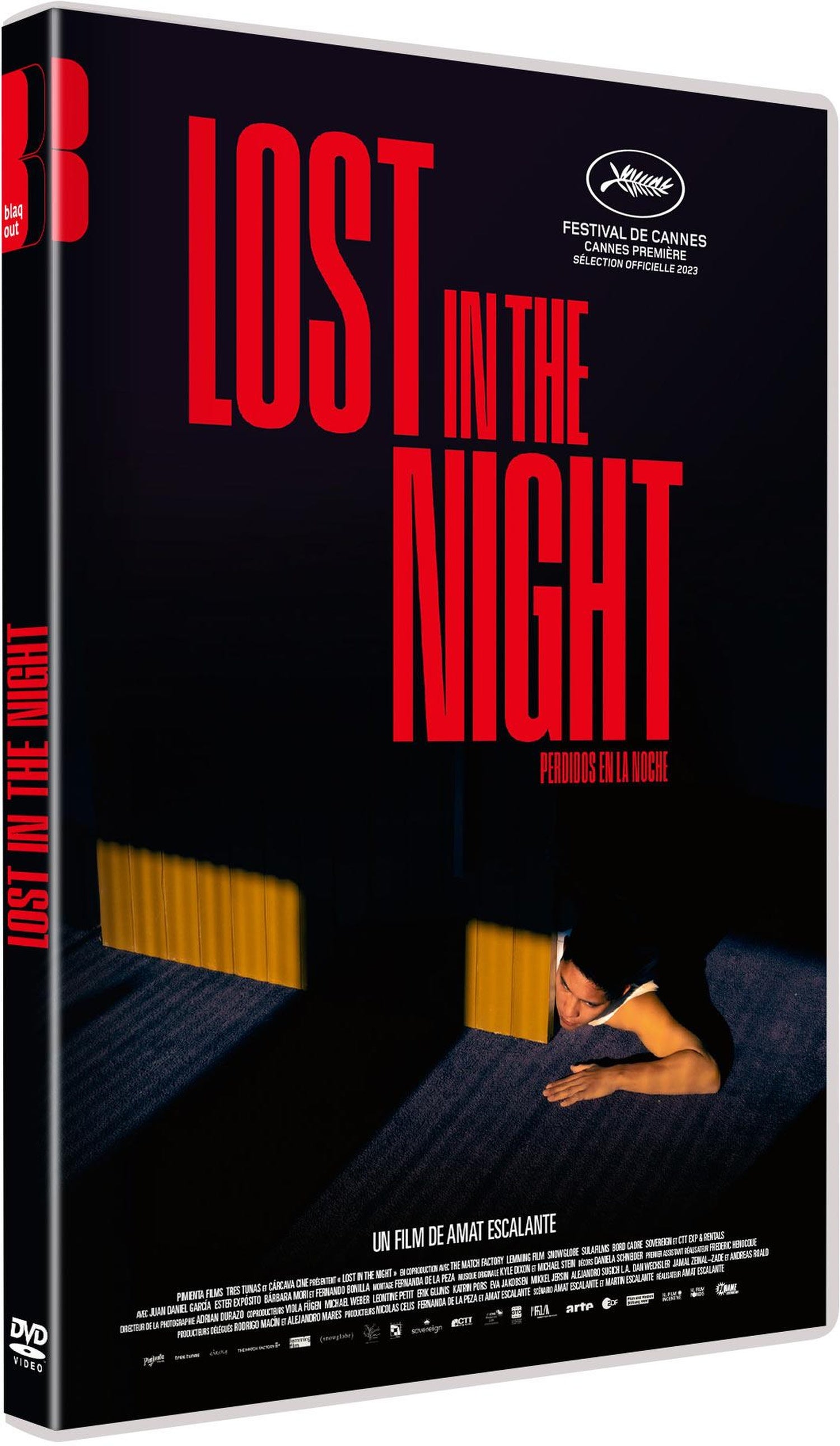 Lost in the Night [DVD]