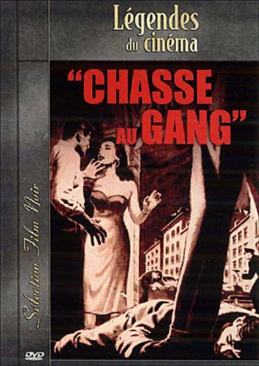 Chasse au gang [DVD] - flash vidéo