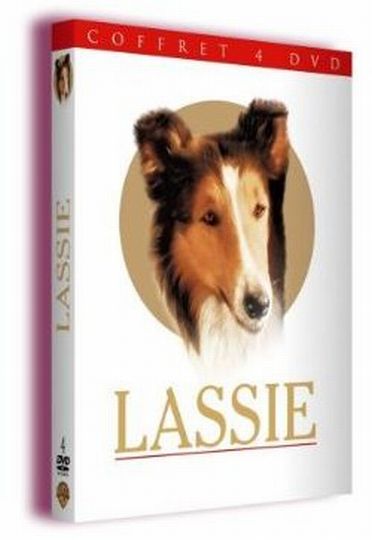 Le Défi de Lassie [DVD] - flash vidéo