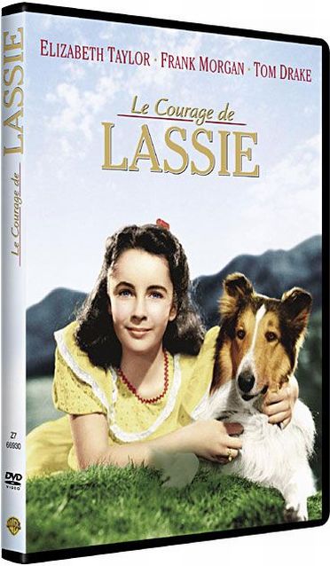 Le Courage de Lassie [DVD] - flash vidéo