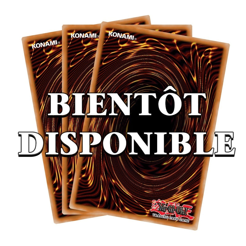 Yu-Gi-Oh! JCC - Display de Decks de Structure : Seto Kaiba (8 Decks)