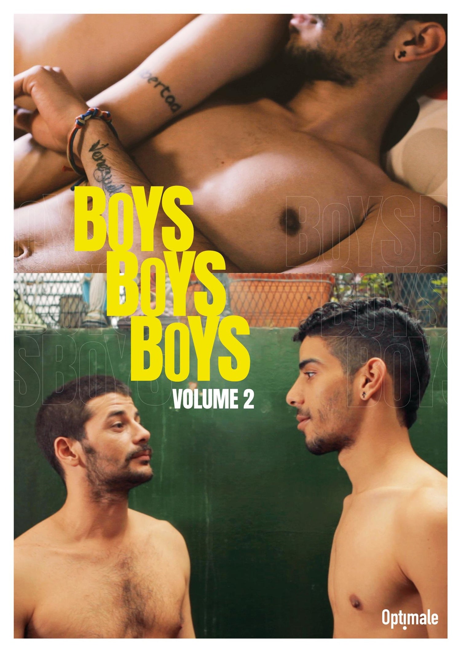 Boys Boys Boys - Volume 2 [DVD]