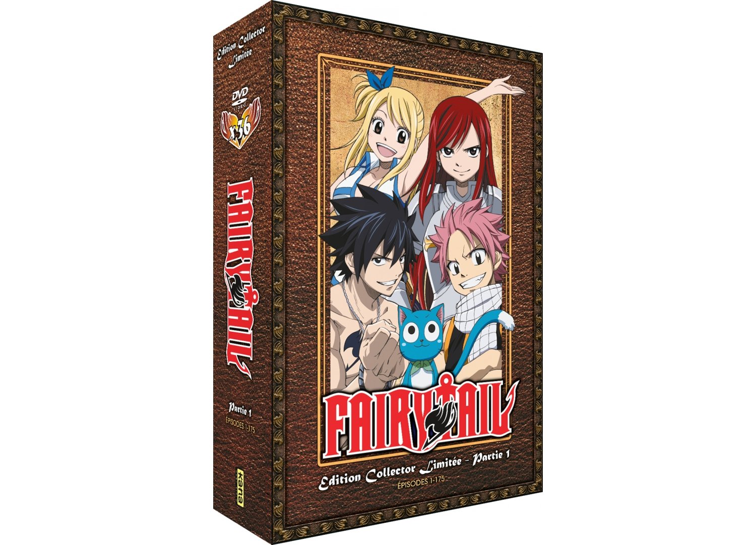 Fairy Tail - Partie 1 (Saisons 1 à 4) - Edition Collector Limitée - Coffret A4 DVD - 175 Eps.