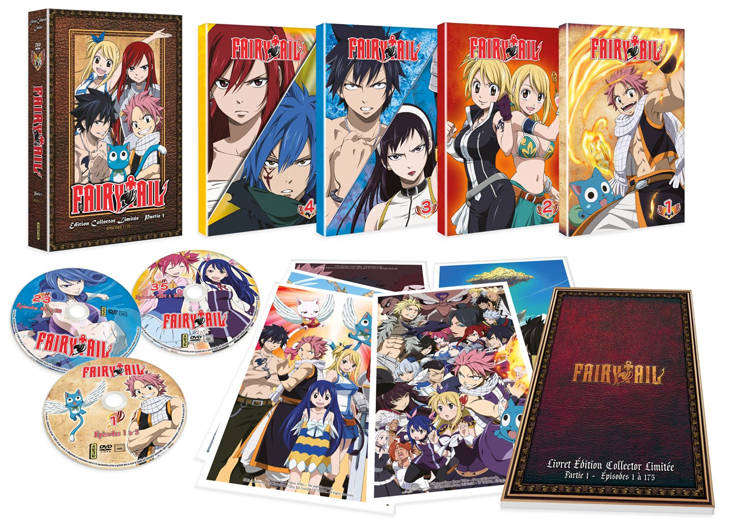 Fairy Tail - Partie 1 (Saisons 1 à 4) - Edition Collector Limitée - Coffret A4 DVD - 175 Eps.