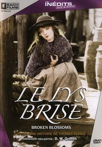 Le Lys brisé [DVD]