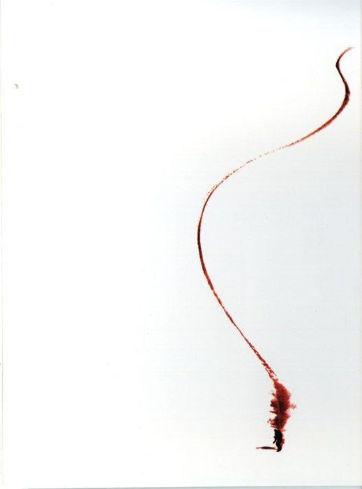 Dessine-moi une ligne [DVD]