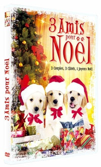 3 amis pour Noël [DVD]