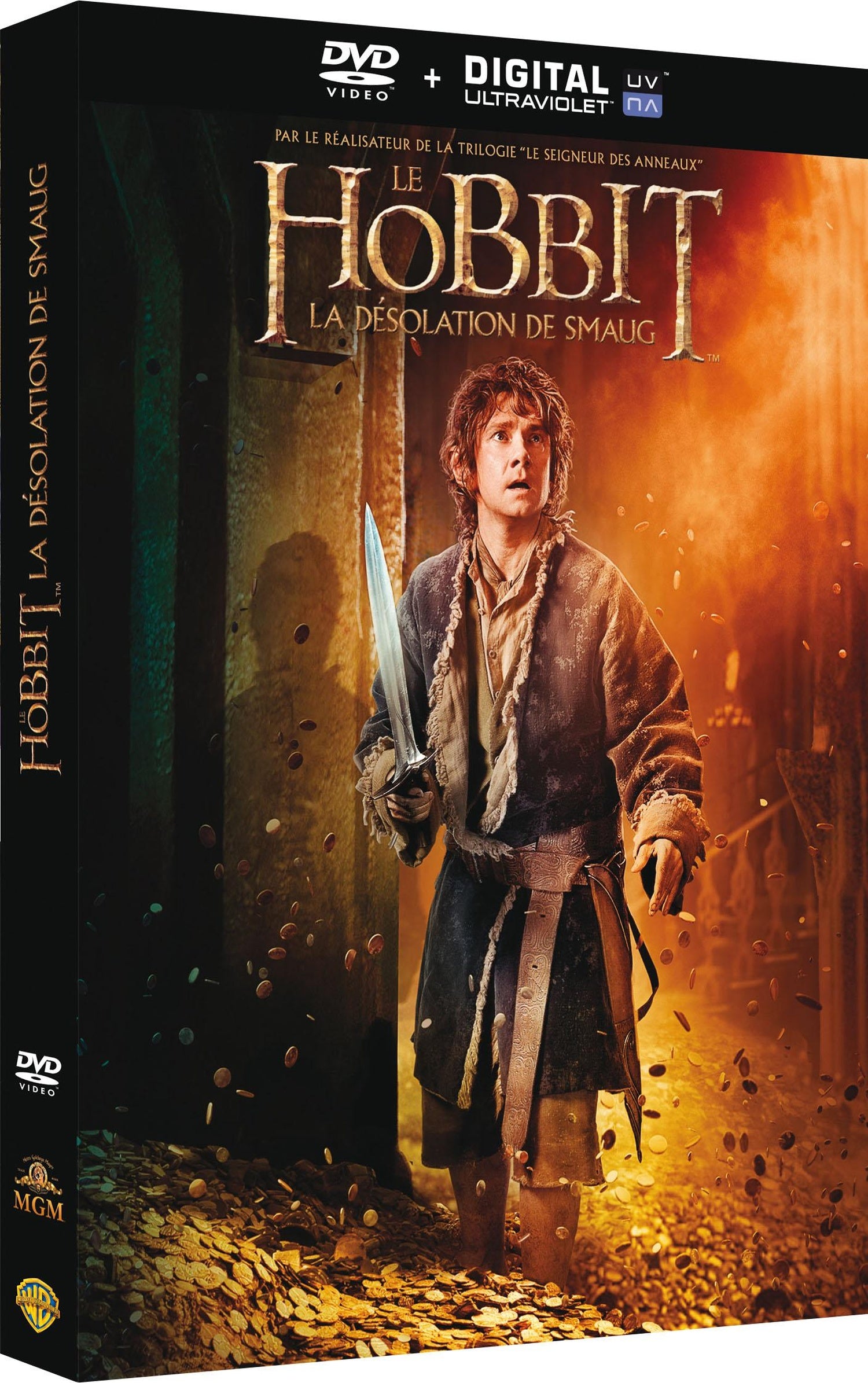Le Hobbit : La désolation de Smaug [DVD]