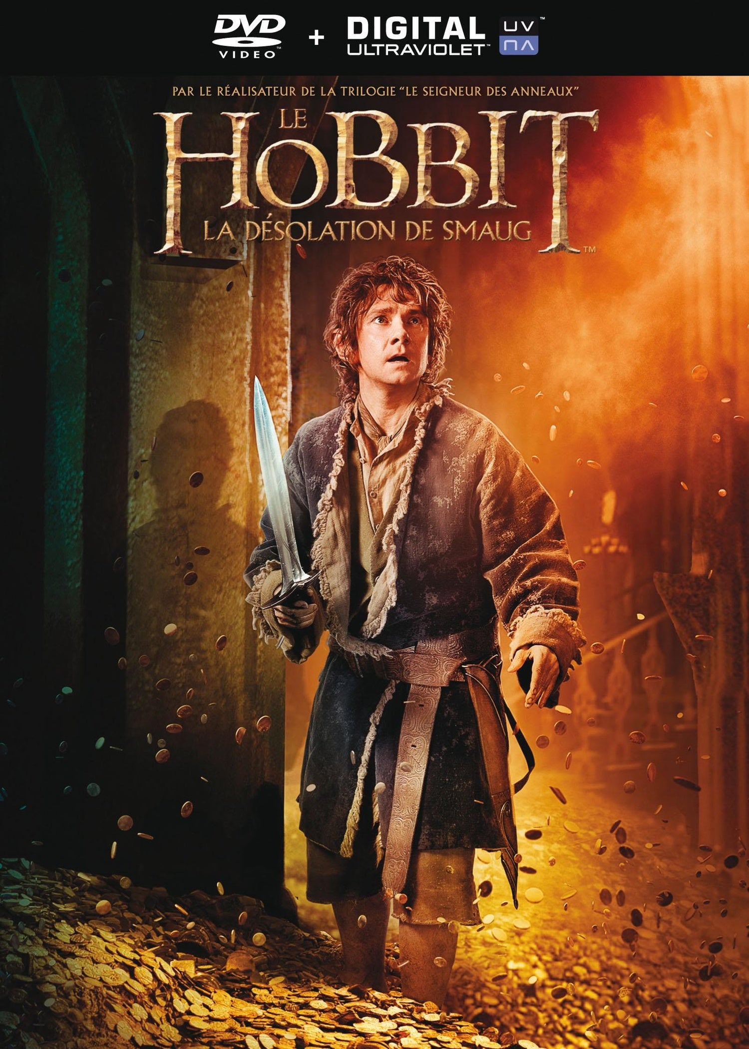 Le Hobbit : La désolation de Smaug [DVD]