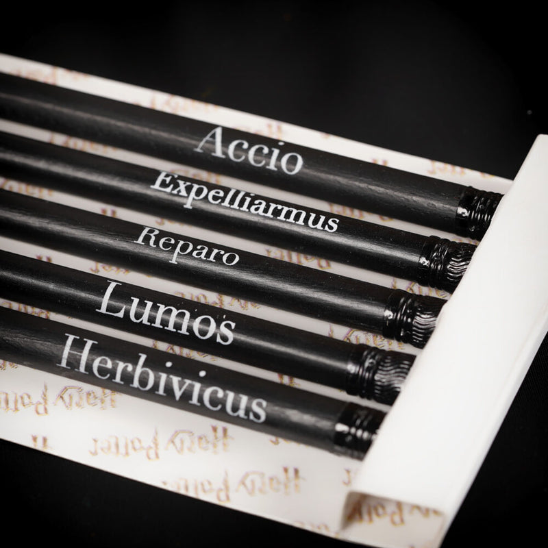 Wizarding World - Harry Potter - Set de crayons