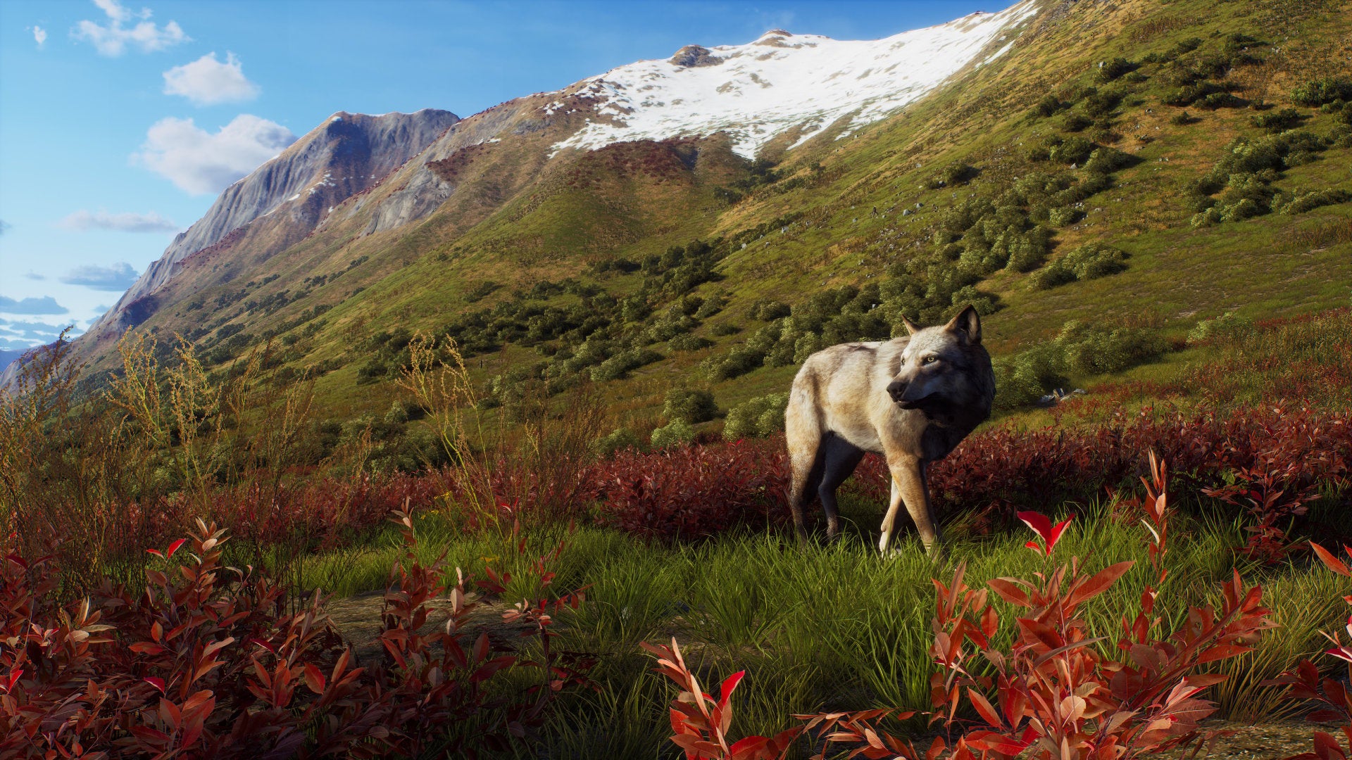 Way of the Hunter - Wild Expeditions - flash vidéo