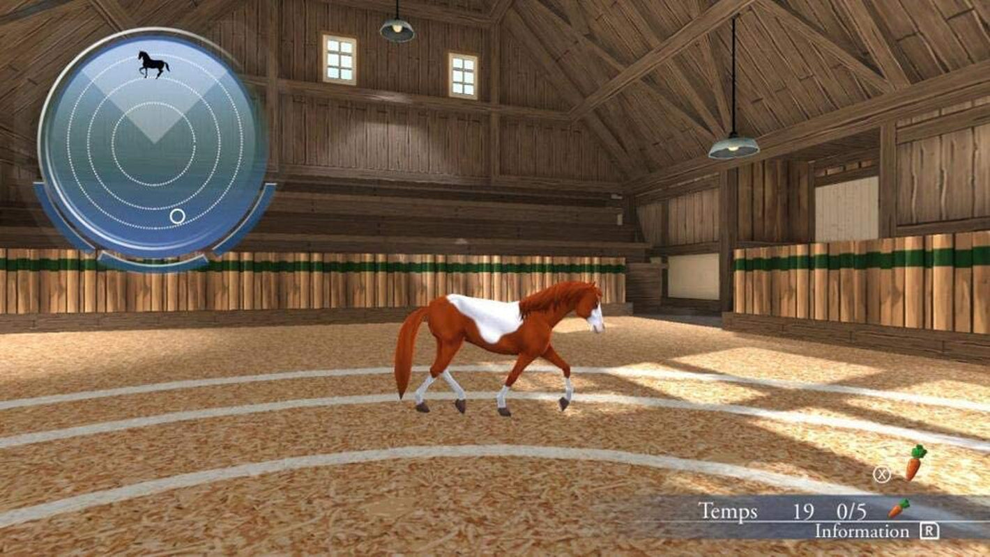 Ma Vie avec les Chevaux 2: Une Nouvelle Aventure