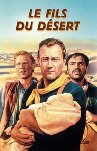 Le Fils du désert [DVD]