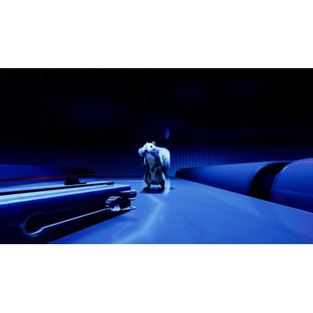 Squirrel with a Gun - flash vidéo