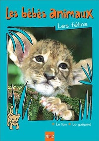 Les Bébés animaux - Les félins [DVD]