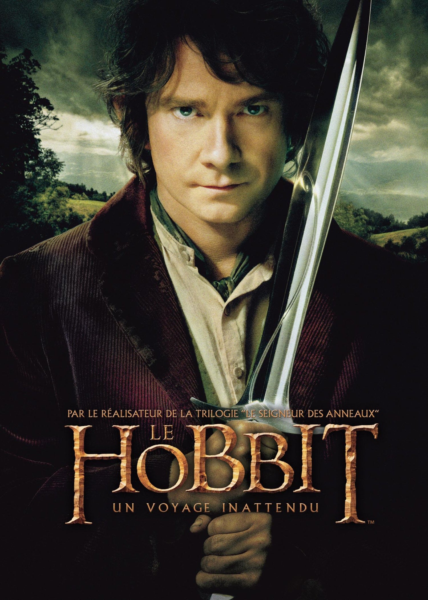 Le Hobbit : Un voyage inattendu [DVD]