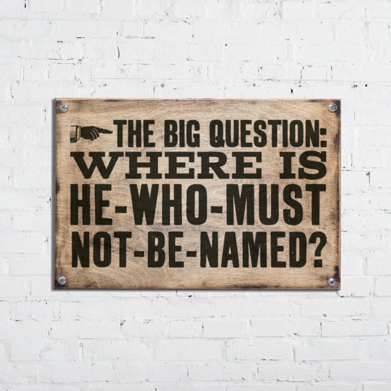 Wizarding World - Harry Potter - Panneau - The Big Question