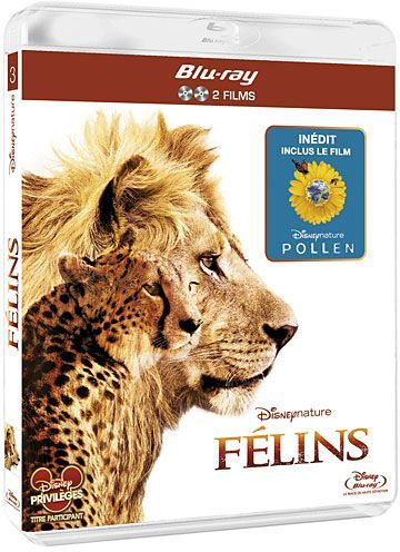 Félins [Blu-ray] - flash vidéo
