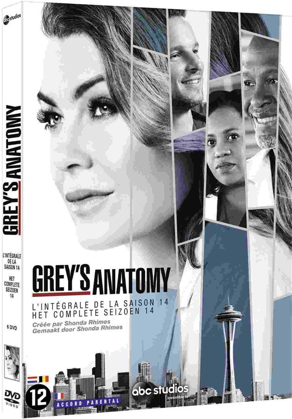 Grey's Anatomy (À coeur ouvert) - Saison 14 [DVD] - flash vidéo