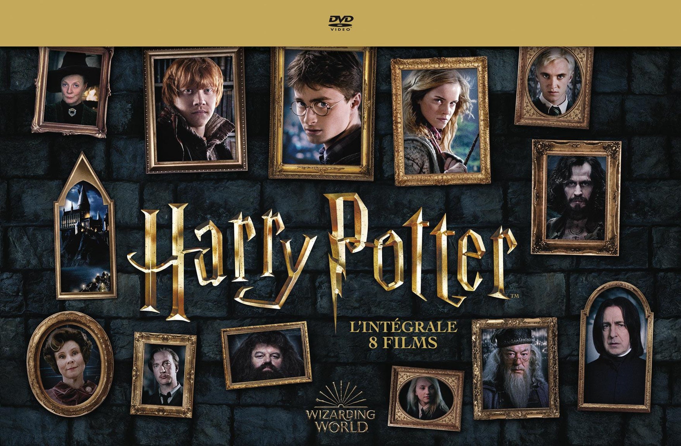 Harry Potter - L'intégrale des 8 films [DVD]
