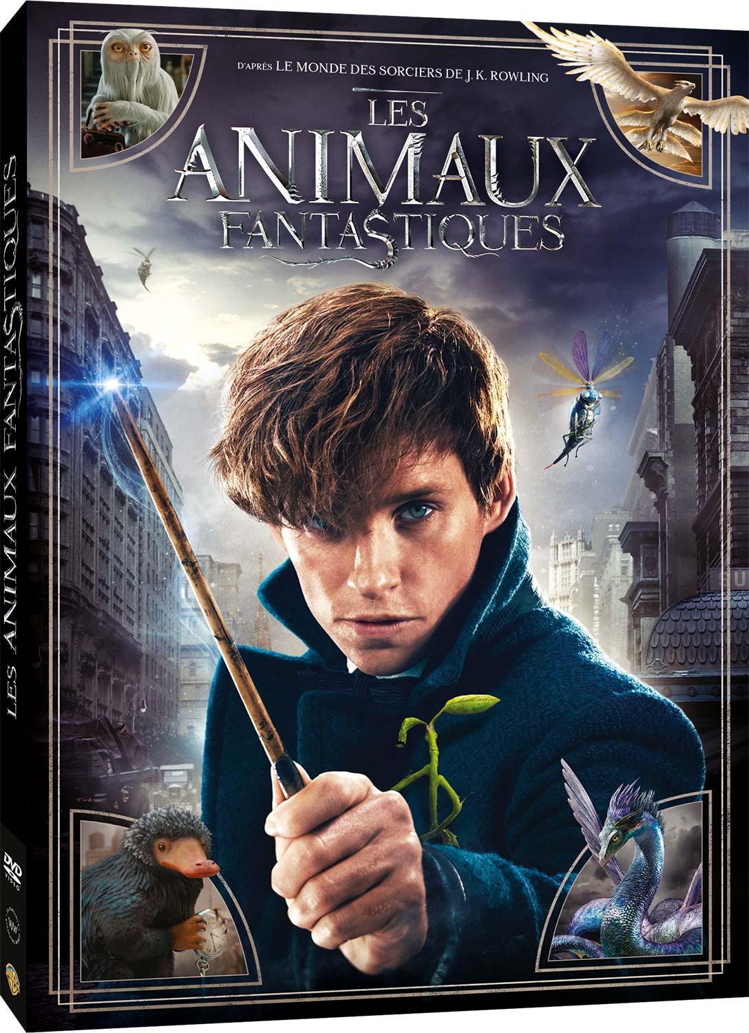 Les Animaux fantastiques [DVD]