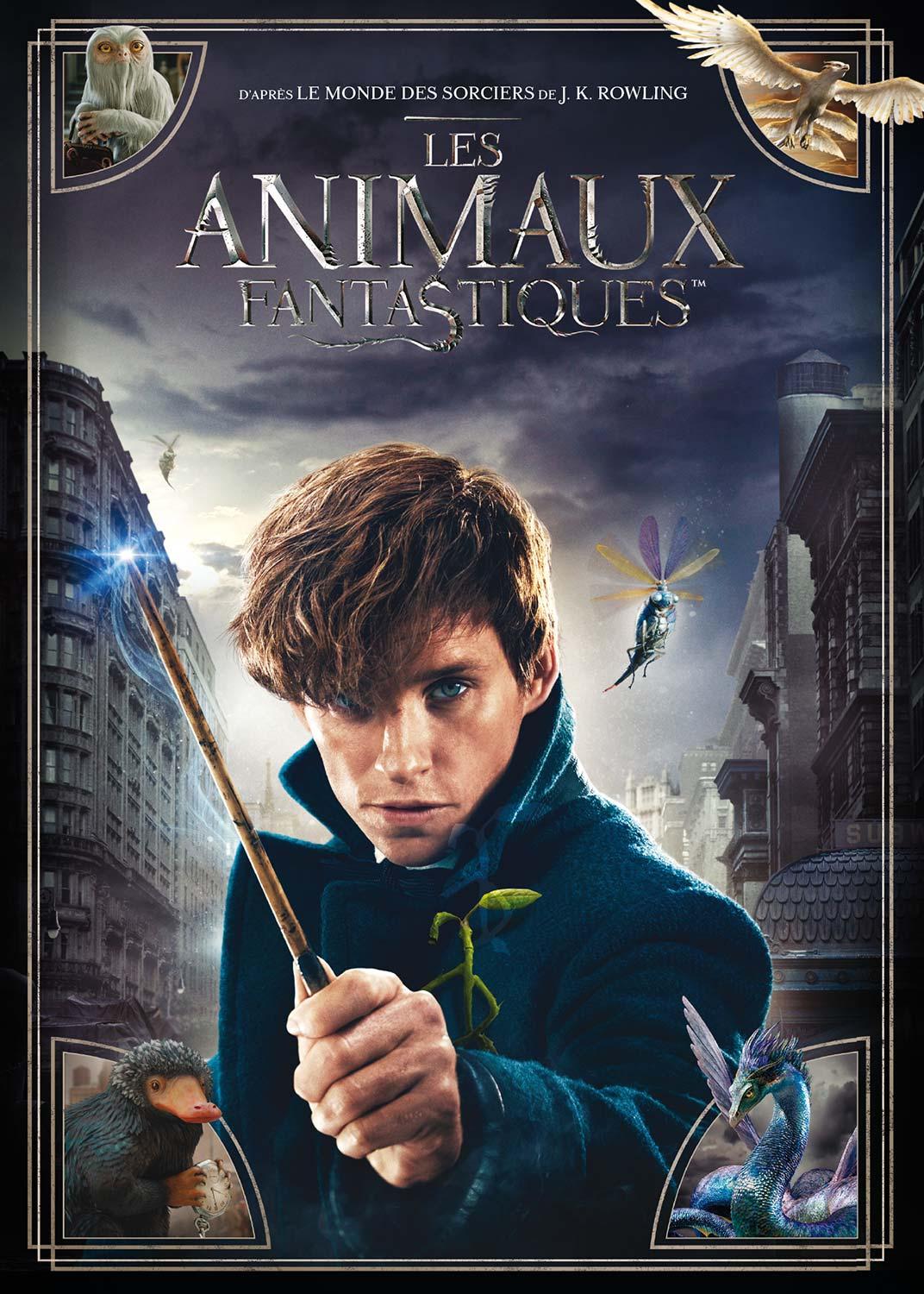 Les Animaux fantastiques [DVD]