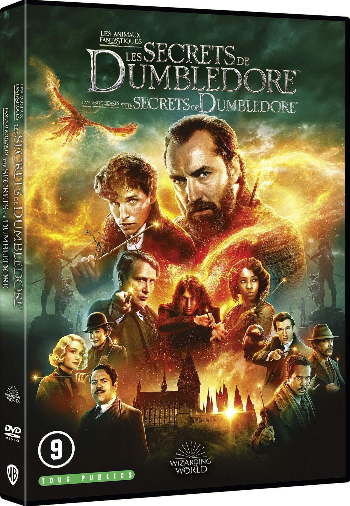 Les Animaux fantastiques : Les Secrets de Dumbledore [DVD]