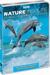 Nature insolite - Vol. 3 : Étonnants partenaires - Filtres magiques [DVD]