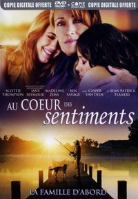 Au coeur des sentiments [DVD]