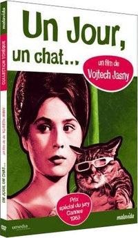 Un jour, un chat [DVD]