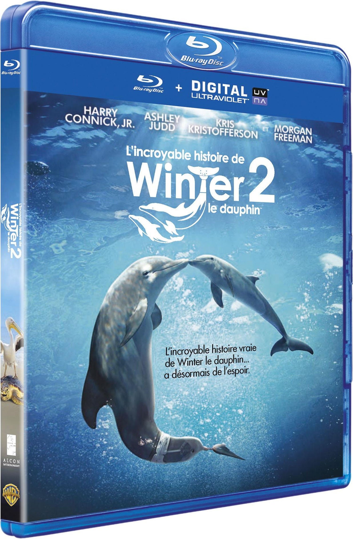 L'Incroyable histoire de Winter le Dauphin 2 [Blu-ray]