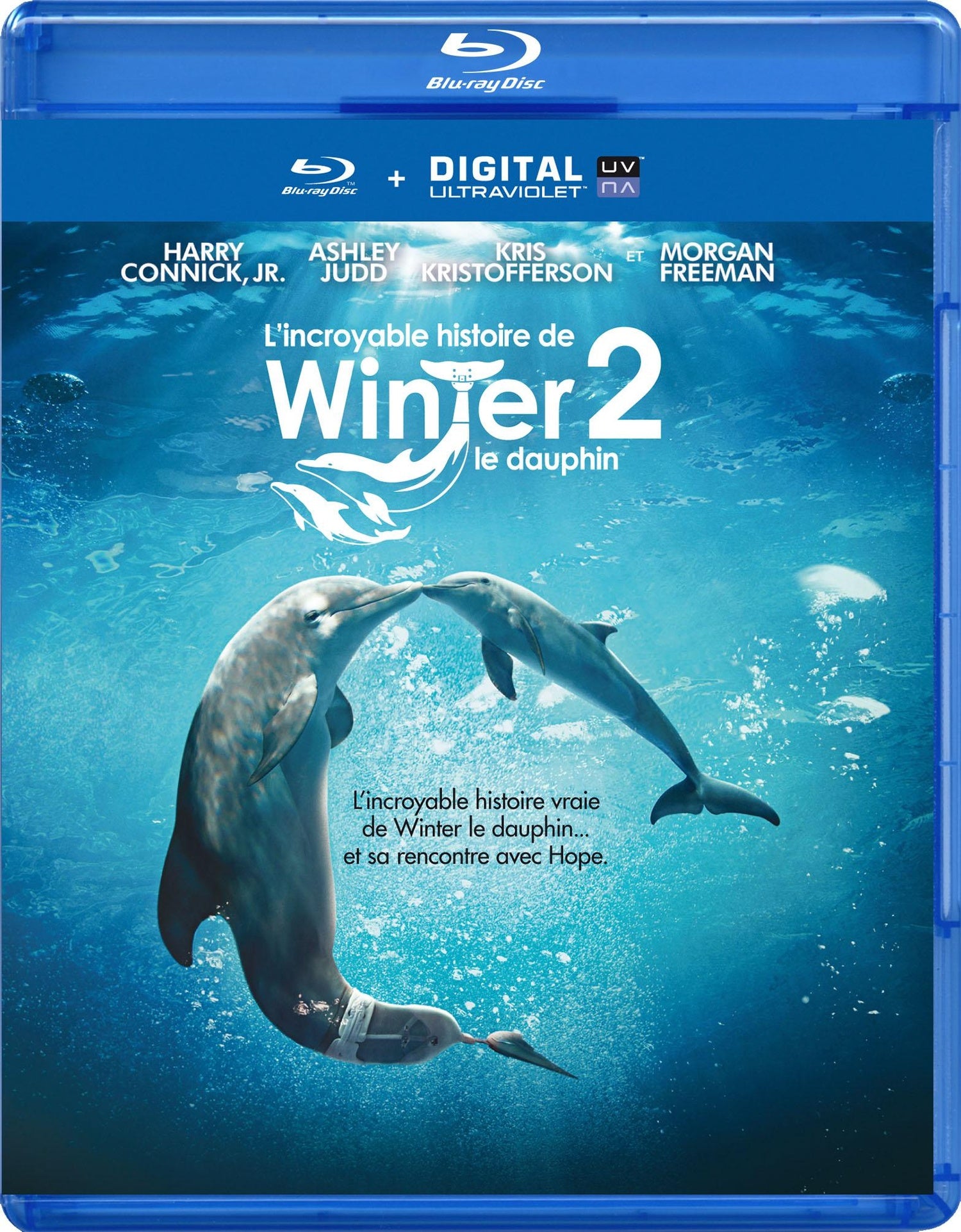 L'Incroyable histoire de Winter le Dauphin 2 [Blu-ray]