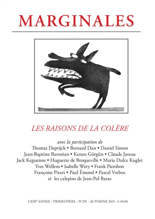 Marginales n.291 : les raisons de la colère - flash vidéo