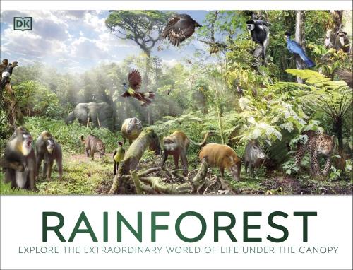 RAINFOREST