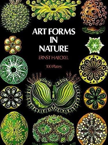 Art forms in nature