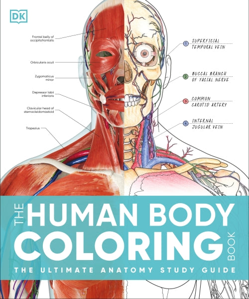 THE HUMAN BODY COLORING BOOK ; THE ULTIMATE ANATOMY STUDY GUIDE, SECOND EDITION