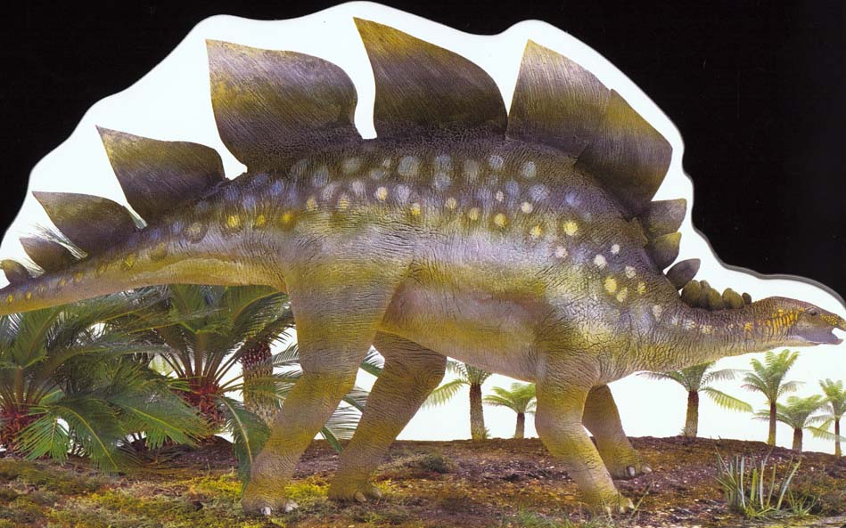 Stegosaure