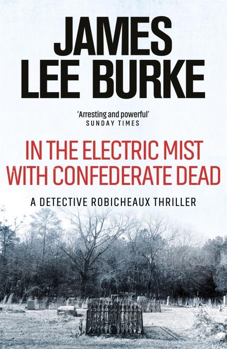IN THE ELECTRIC MIST