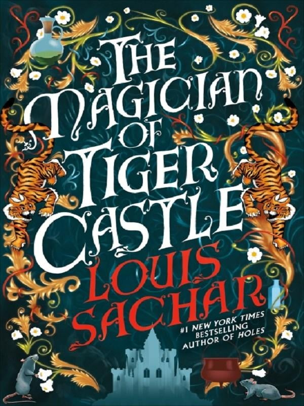 The Magician of Tiger Castle : the highly anticipated debut adult novel from the international bestselling author