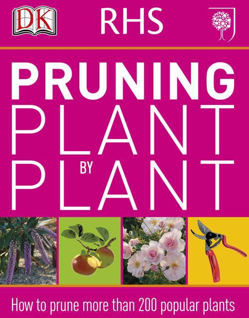 Rhs pruning plant by plant