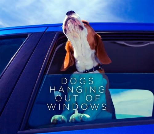 DOGS HANGING OUT OF WINDOWS