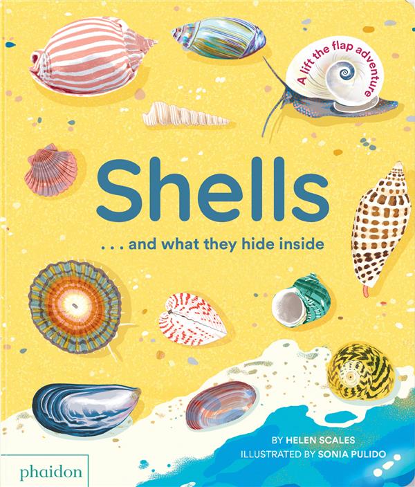 Shells... and what they hide inside - flash vidéo